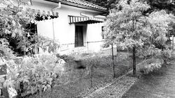 Frankel Estate (D15), Semi-Detached #639472361
